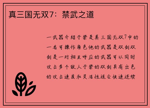 真三国无双7：禁武之道